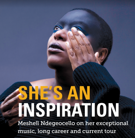 Screen Shot 2017-02-01 at 9.29.26 AM.png