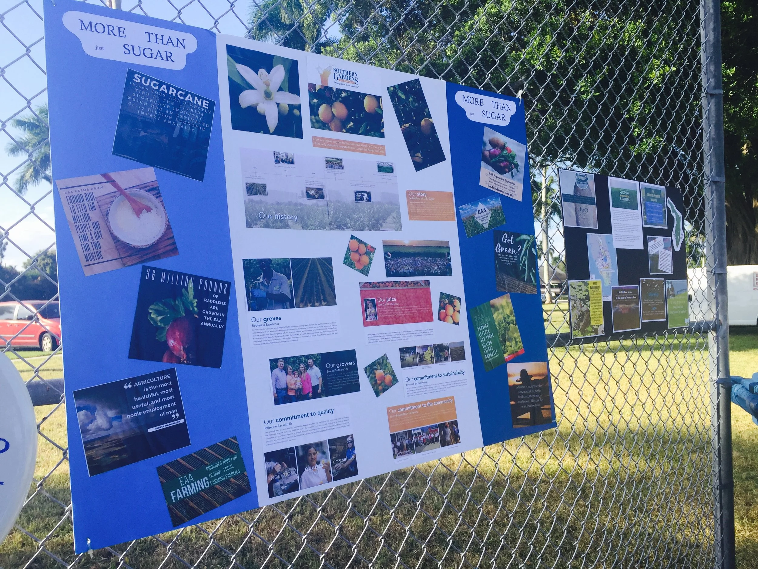 Fact Wall