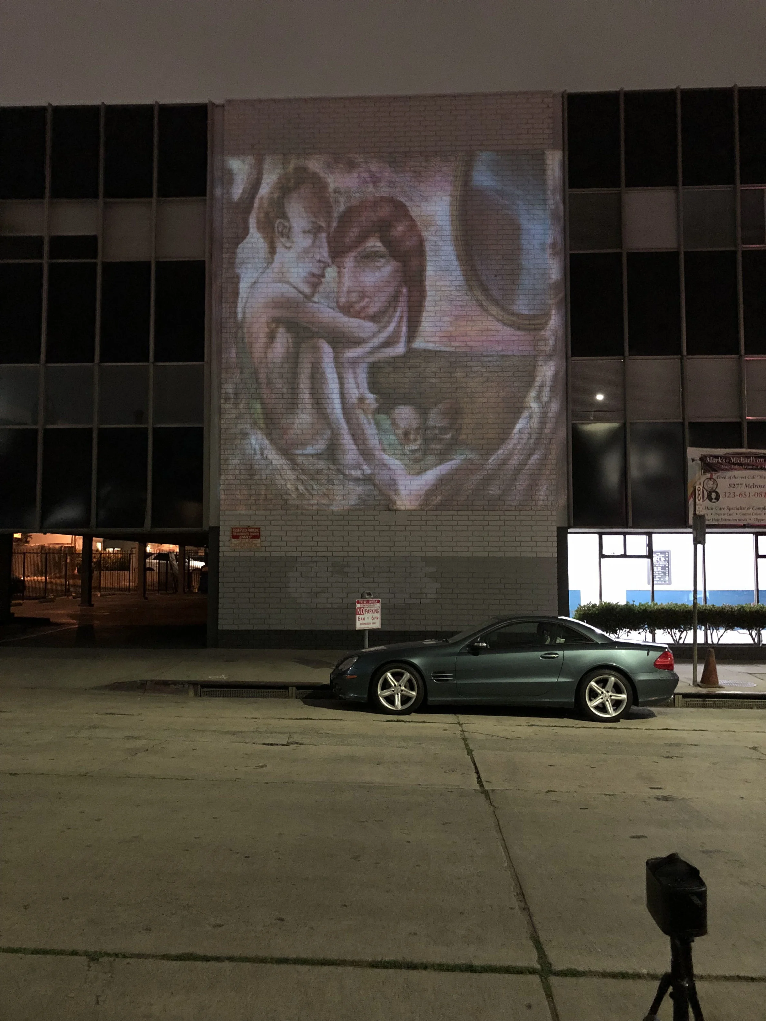 Levey Projection Project in the garden 2.jpg