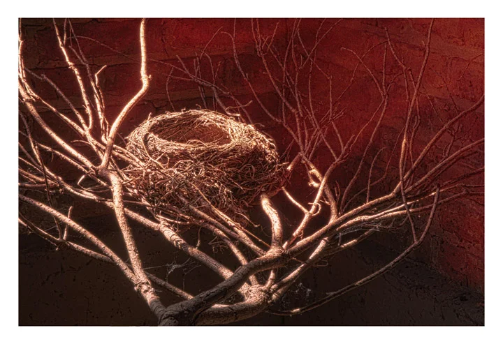 Empty Nest