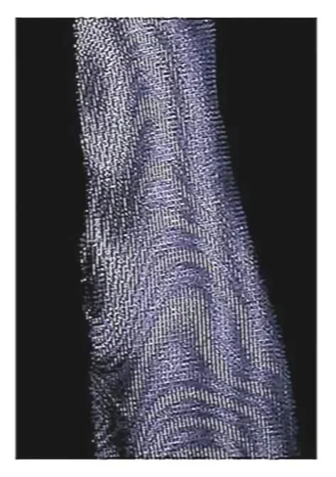 Body Blue