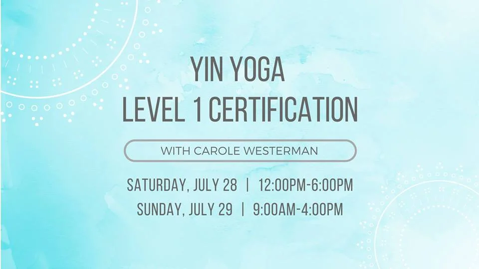 yin_yoga_certification_avani.jpg