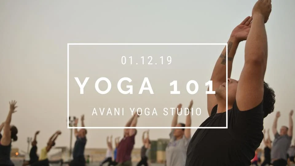 yoga_101_avani.jpg
