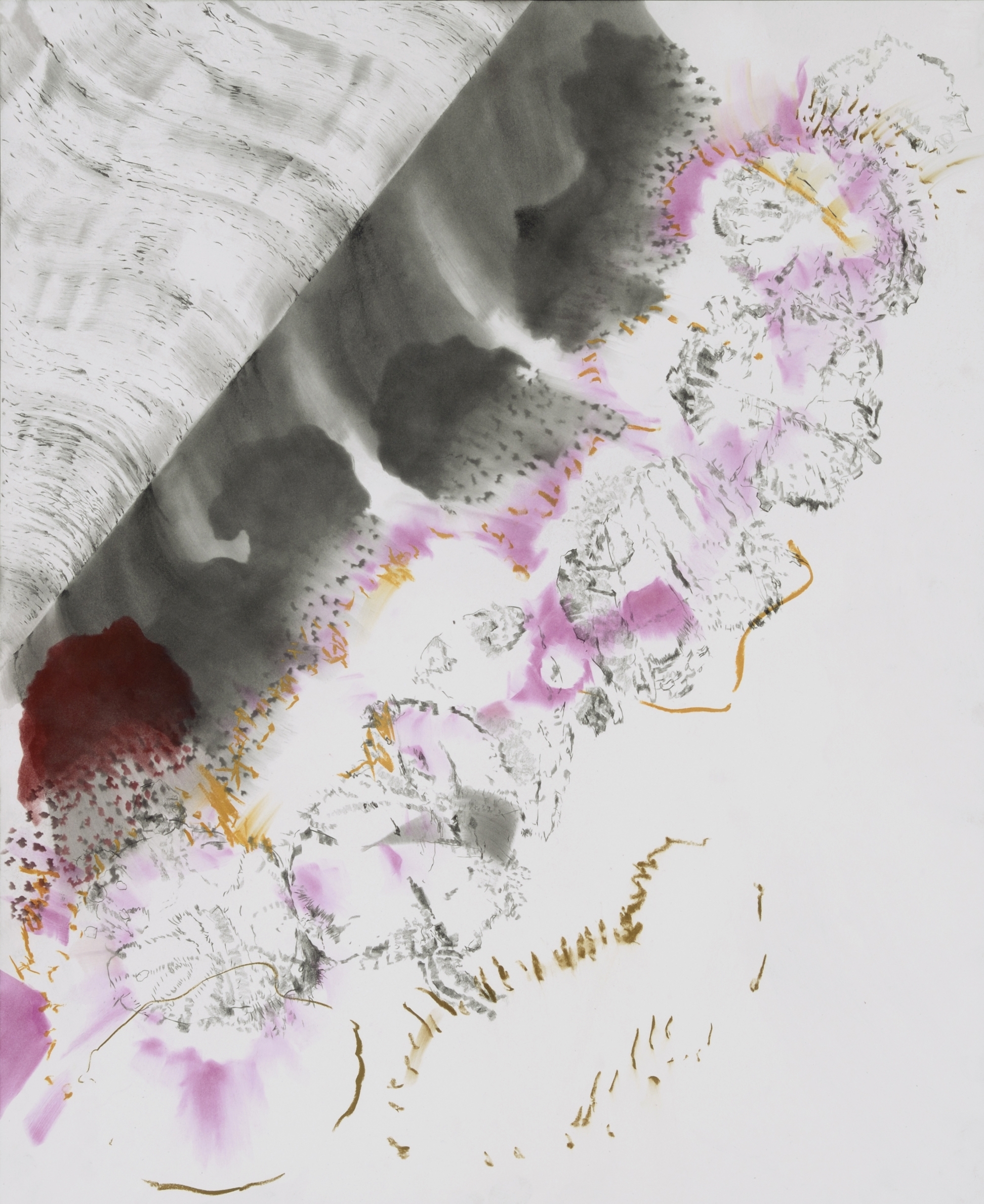 Continental Drift 2015 graphite and pastel on paper 27 x 22 in.
