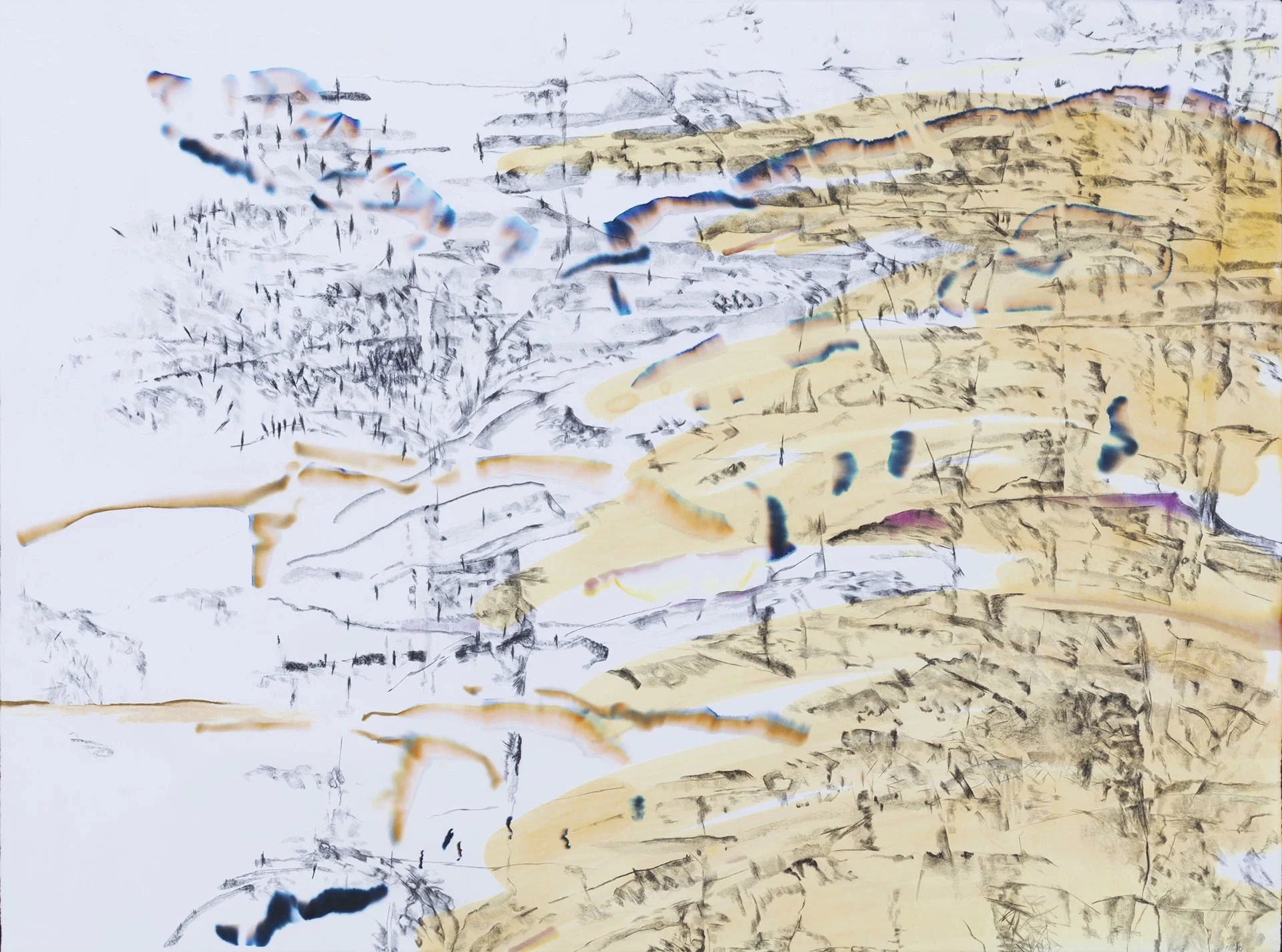 Sediment 2014 graphite, watercolor, ink and pastel on paper 22.5 x 30 in.