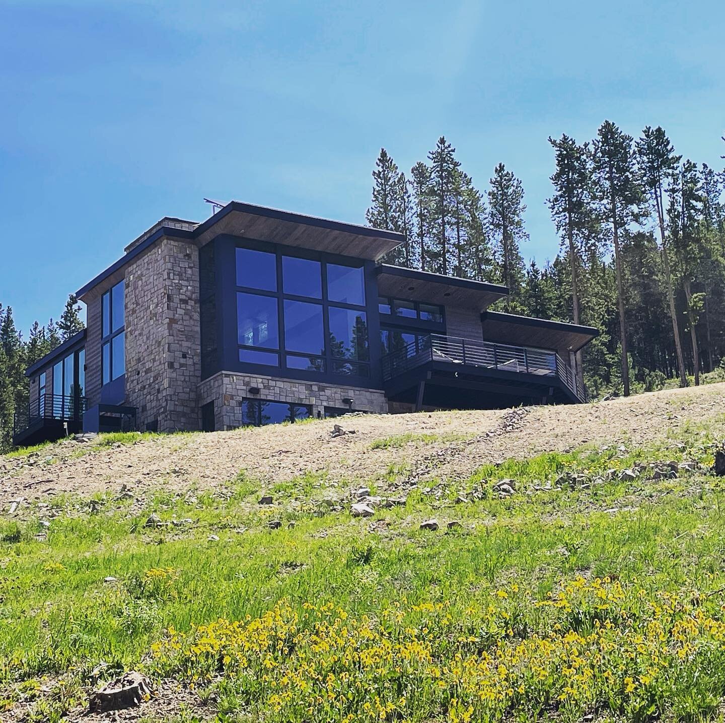 A couple of snaps of the Breckenridge ski house I designed a few years ago. Designed for a snowy landscape, it looks pretty nice on a warm Summer day.