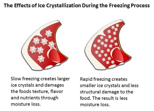 Congelated Rustication Culinary Science — The Culinary Pro