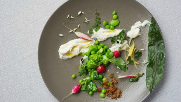 Wild Honey, London