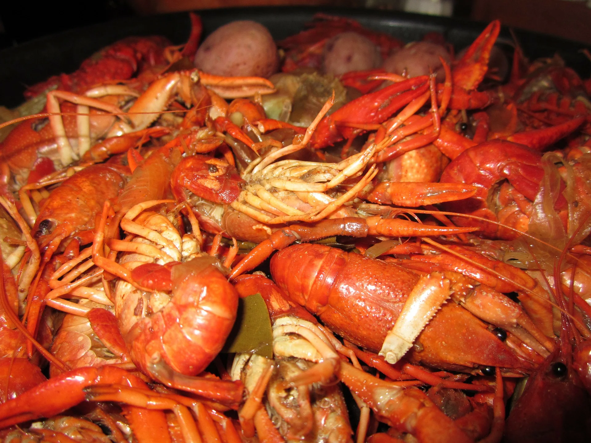 crawfish-99850_1920.jpg