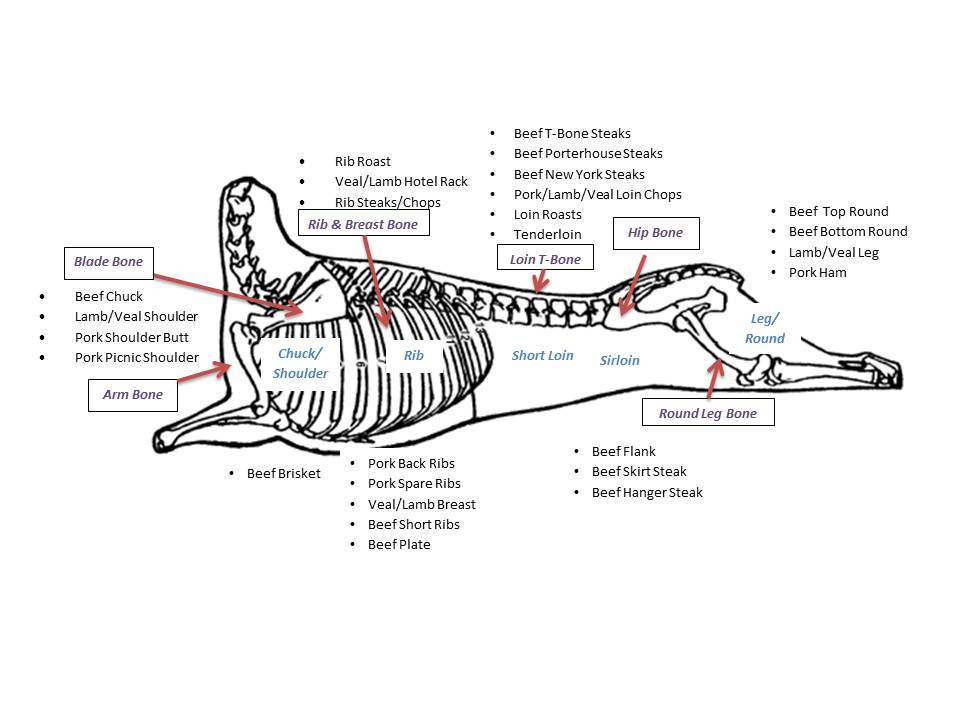 Pork Skeletal Chart