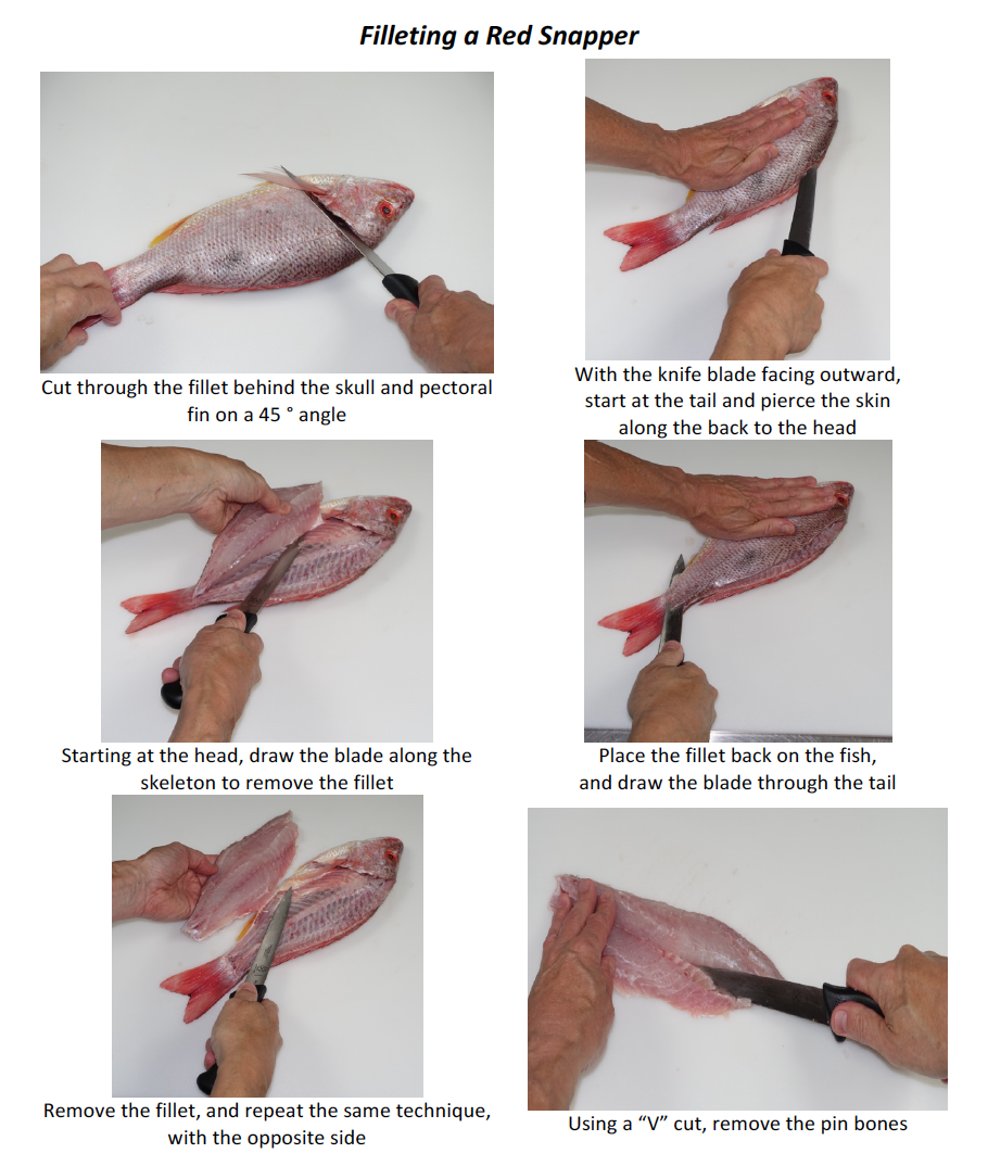 How to fillet a fish