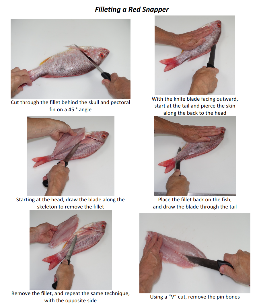 Fish And Shellfish Fabrication Methods The Culinary Pro