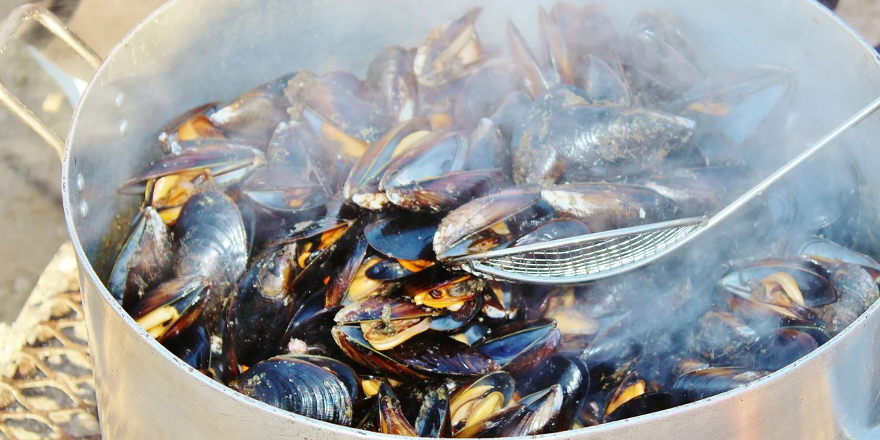 Steamed Mussels