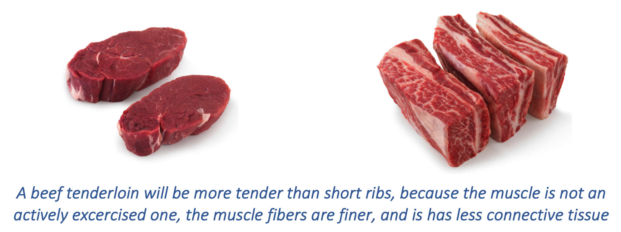 Photos courtesy of the Beef Council