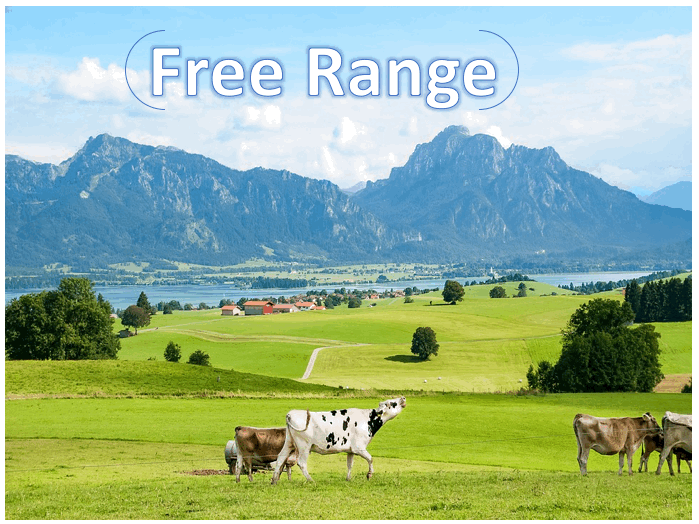 Free Range Cattle.gif