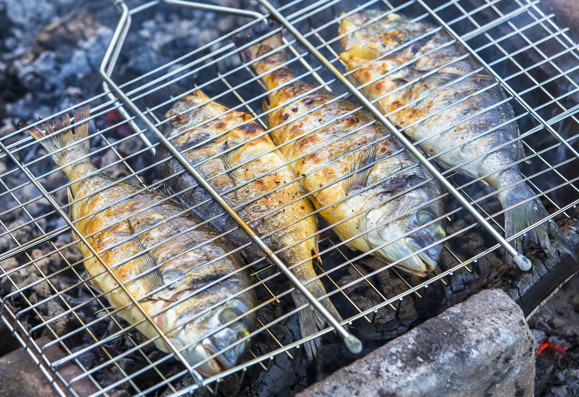 Grilling & Broiling Techniques — The Culinary Pro