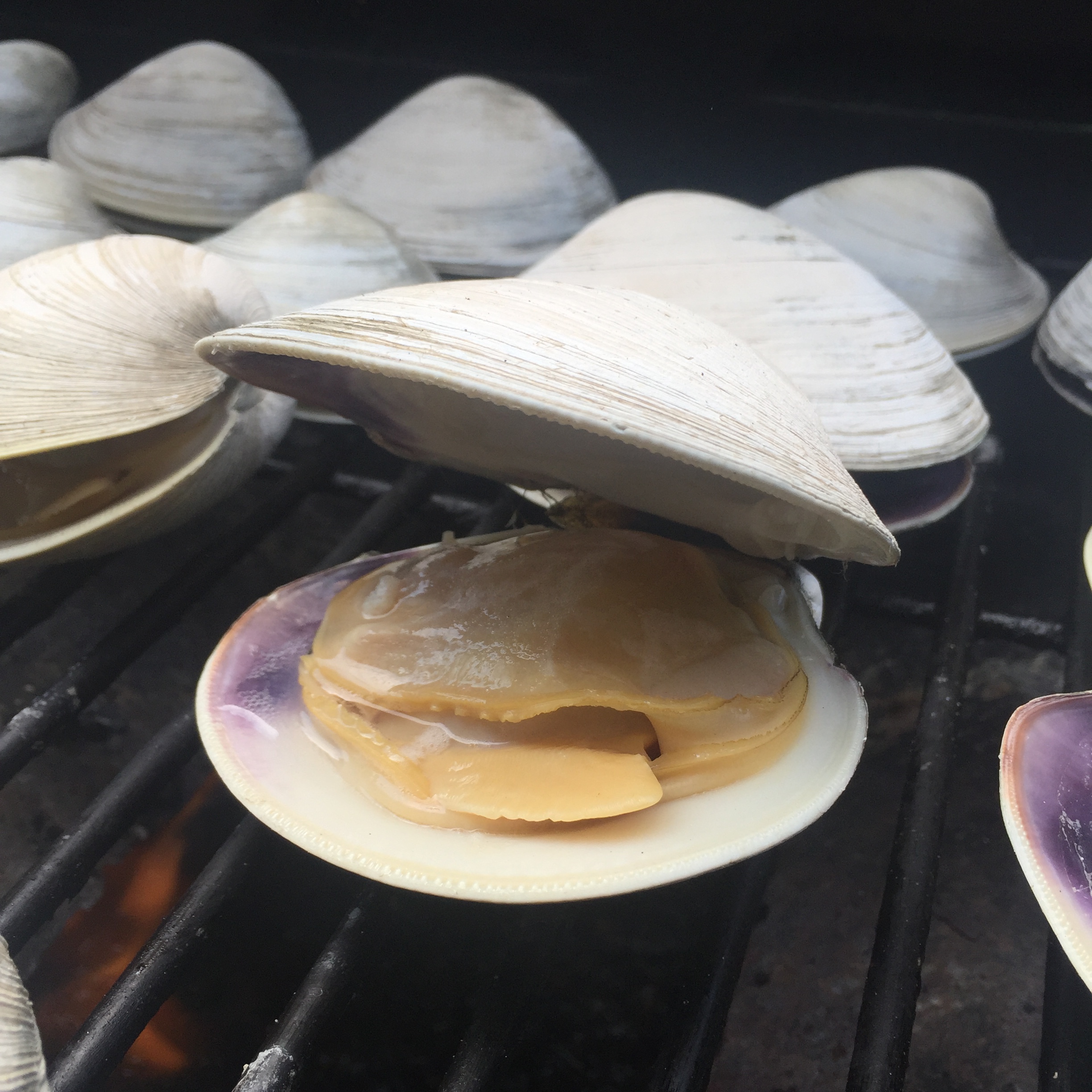 Grilling & Broiling Techniques — The Culinary Pro