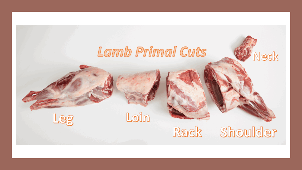 Lamb Carcass Fabrication The Culinary Pro