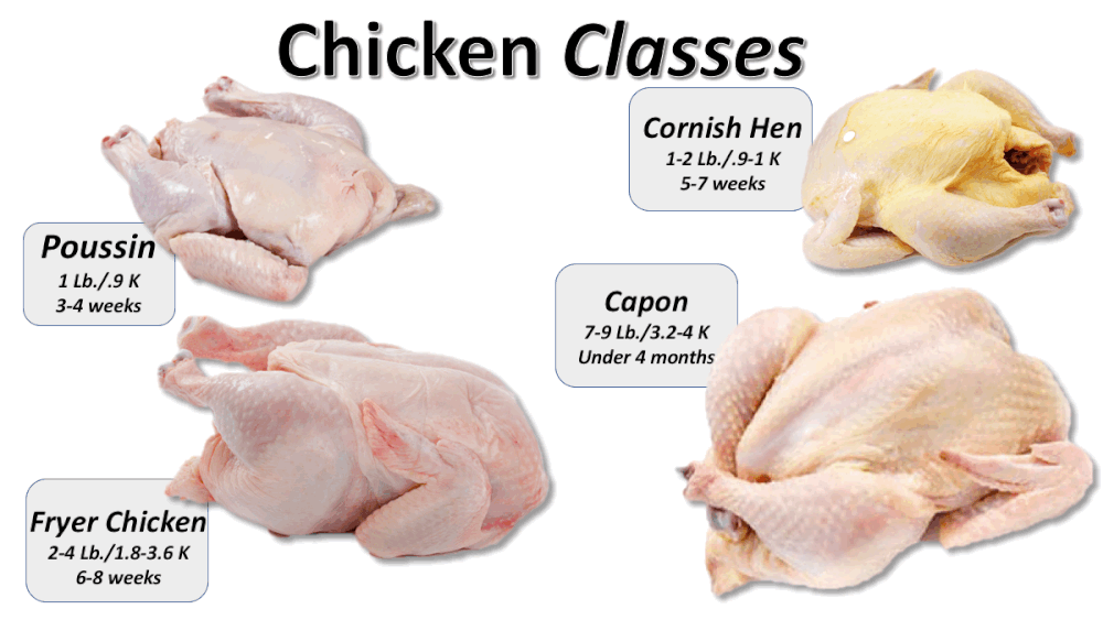 Poultry Fabrication Methods The Culinary Pro