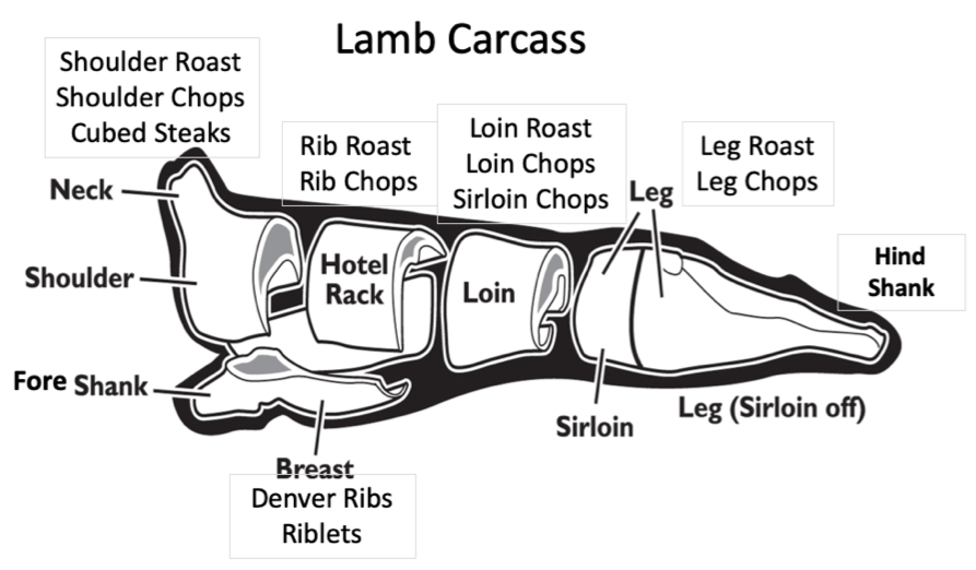 Lamb Carcass.gif