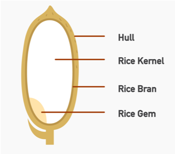 Rice Varieties — The Culinary Pro