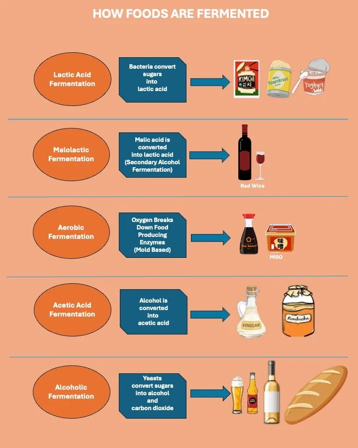 Fermentation — The Culinary Pro