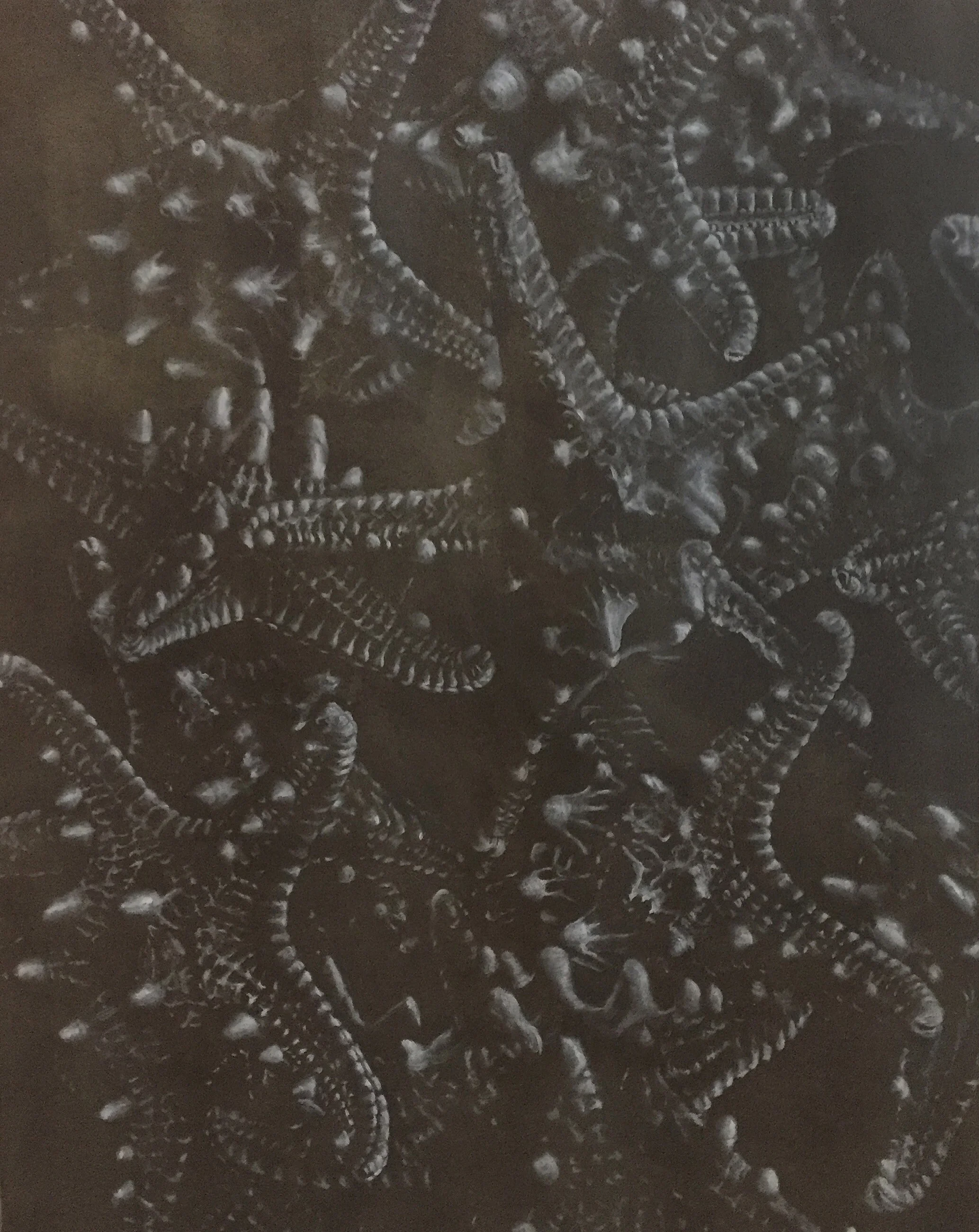 STARFISH_ THOMSON.JPG