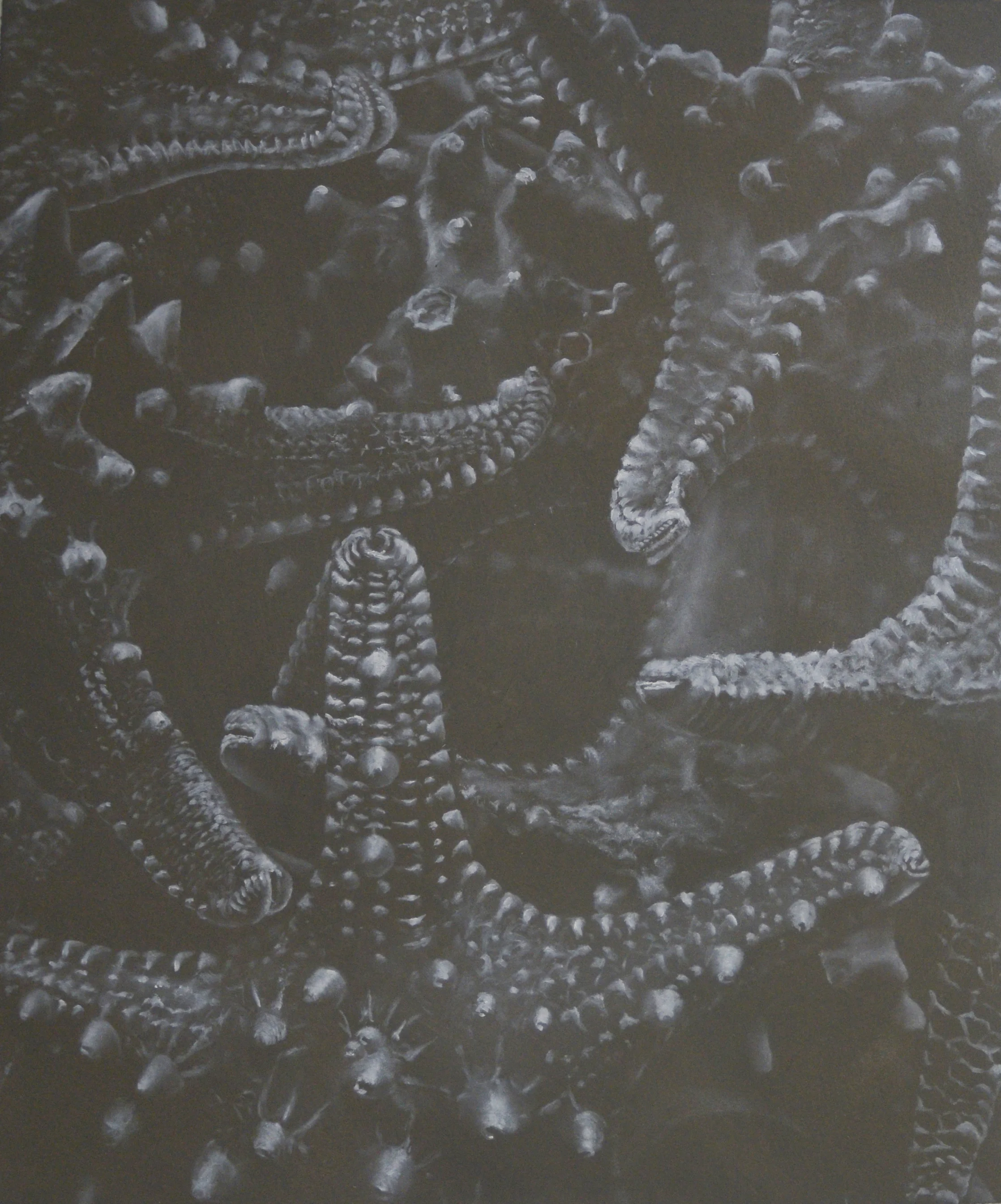 STARFISH 3 - PETERSON CROP.jpg