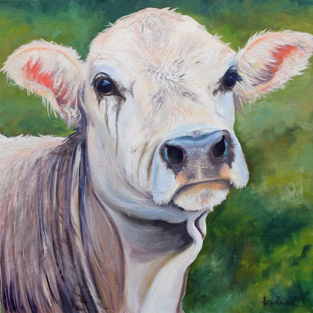 hardwick cow 2014