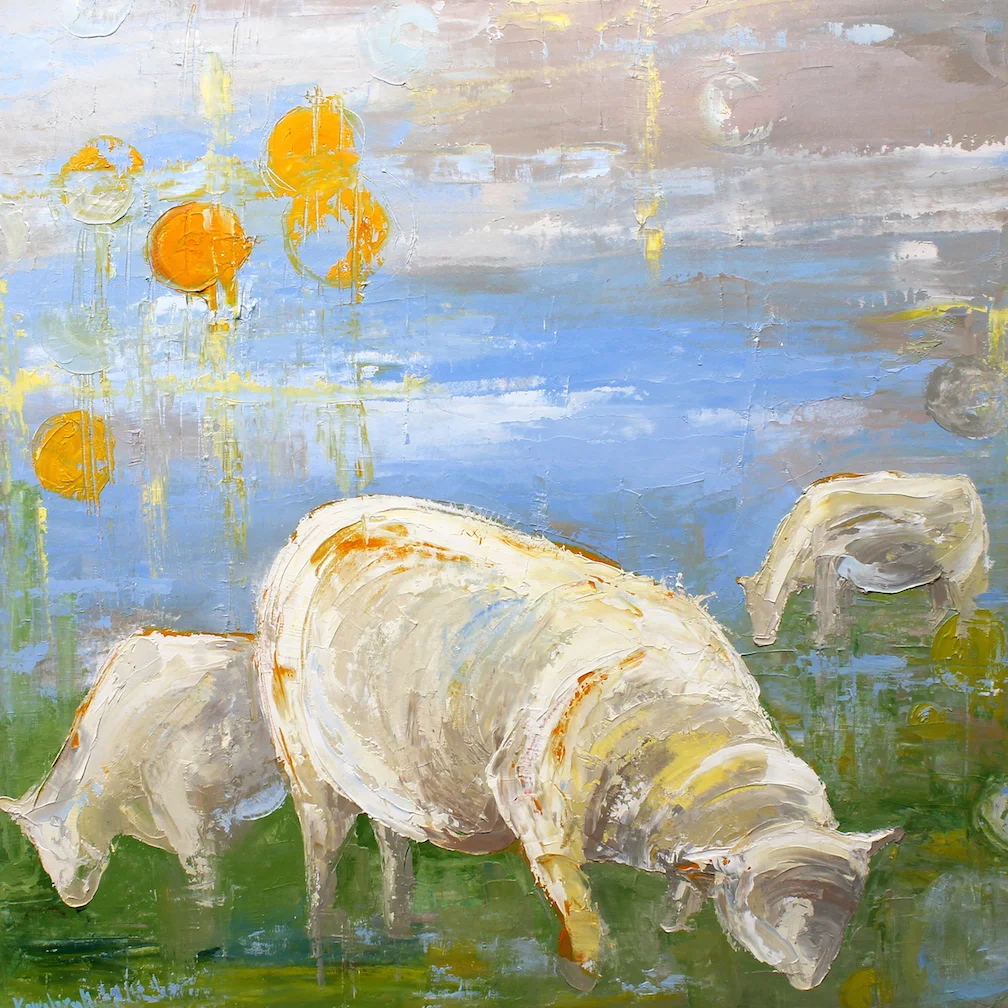 suns and sheep 2014