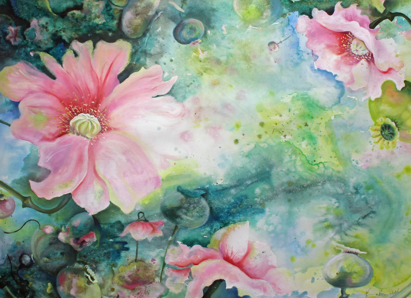 poppy dream 2014