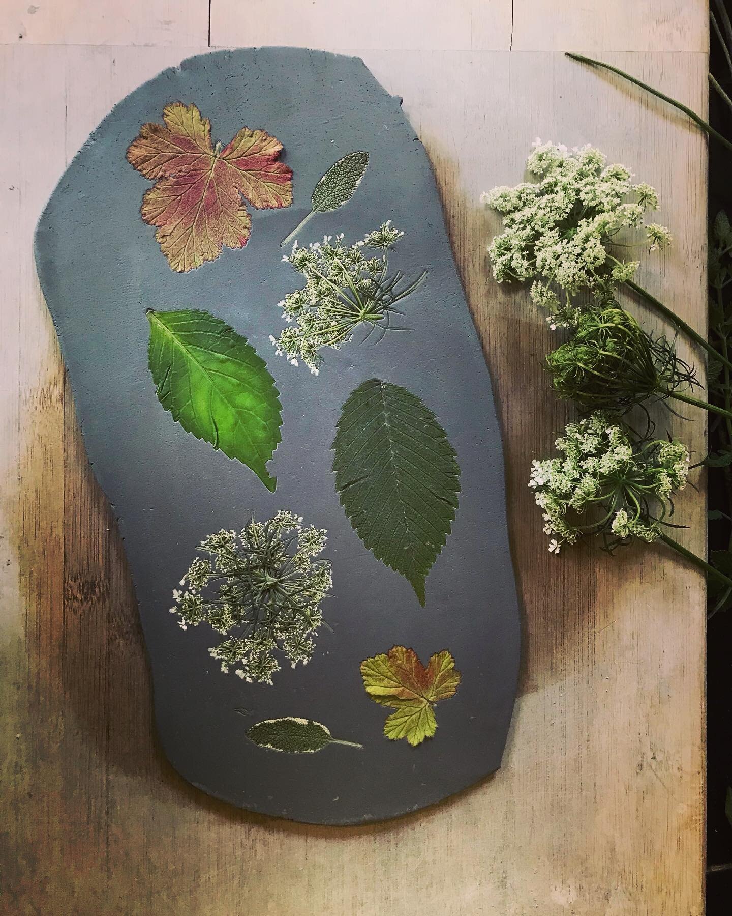 Love this time of year&hellip;So many beautiful plants to print with! #summerbotanicals #summerherb