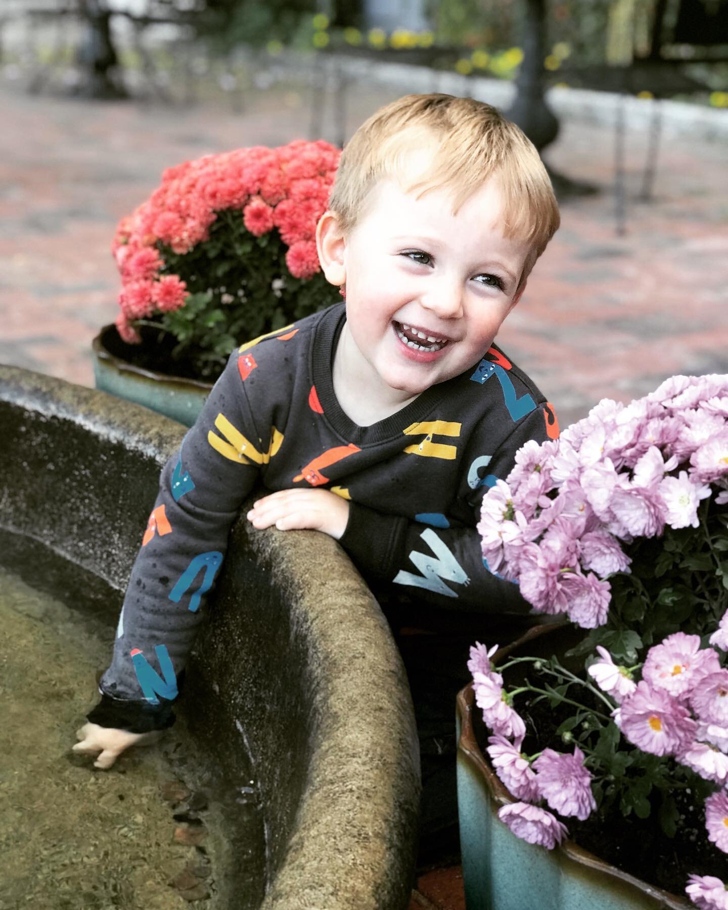 This little guy is often my assistant for Crompton restocks. Snapped this shot while we enjoyed the fountain @shopcrompton last week!