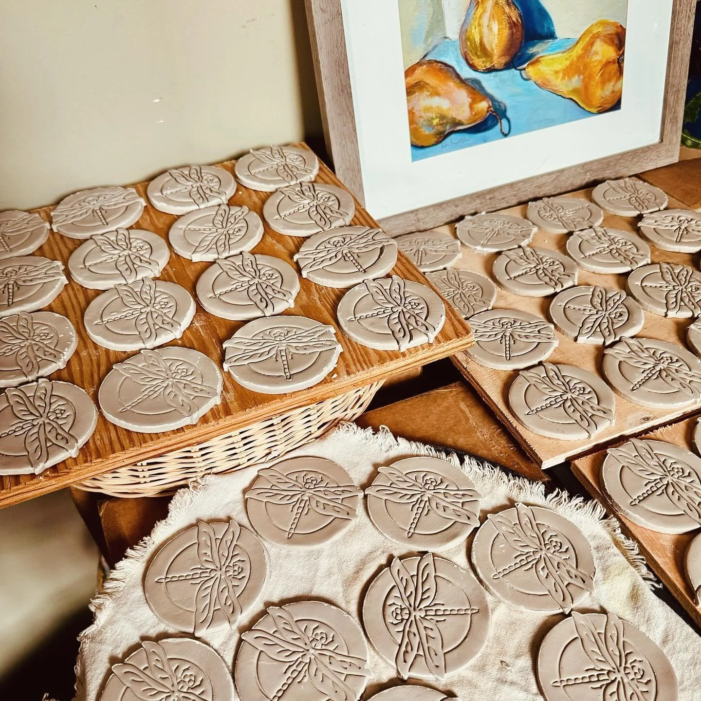 Dragonflies ALL DAY 🙄😑👏.