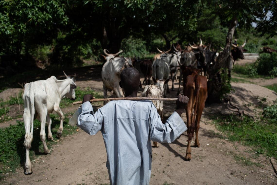 "Back home, I liked going to school," says Bouba, a survivor of a militant strike on his home village, while herding cows in Baigaï on 25 May 2019. "I was good at maths, and I even liked doing homework.” In his spare time, Bouba attends the UNICEF-sponsored 'radio school', which takes place under the shade of large tree in the government school courtyard. “Now, when I see other children returning from school during the day, I want to be among them,” he adds.