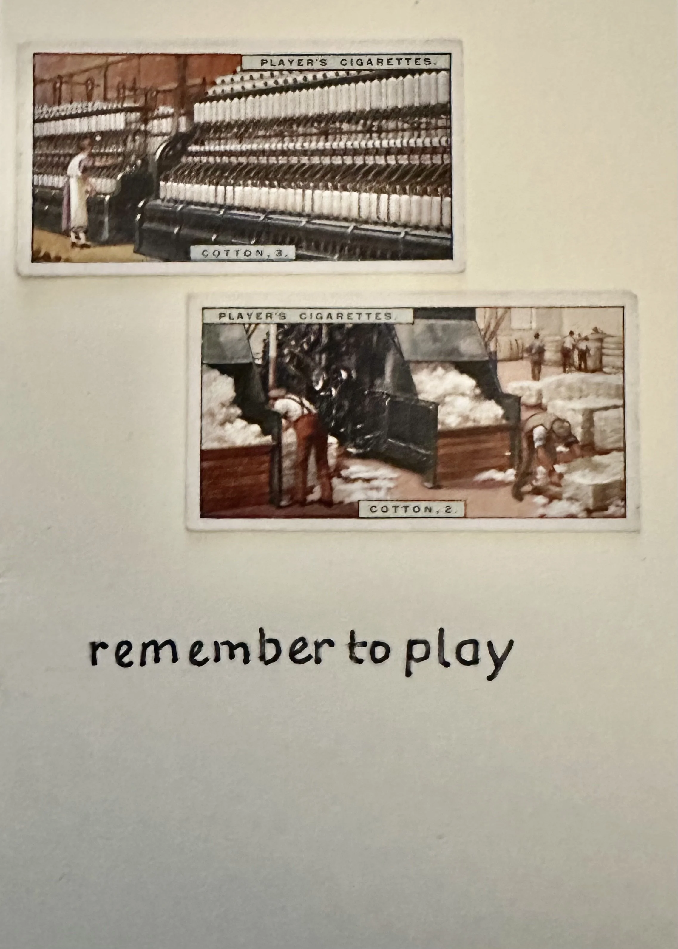 IMG_6027.jpeg