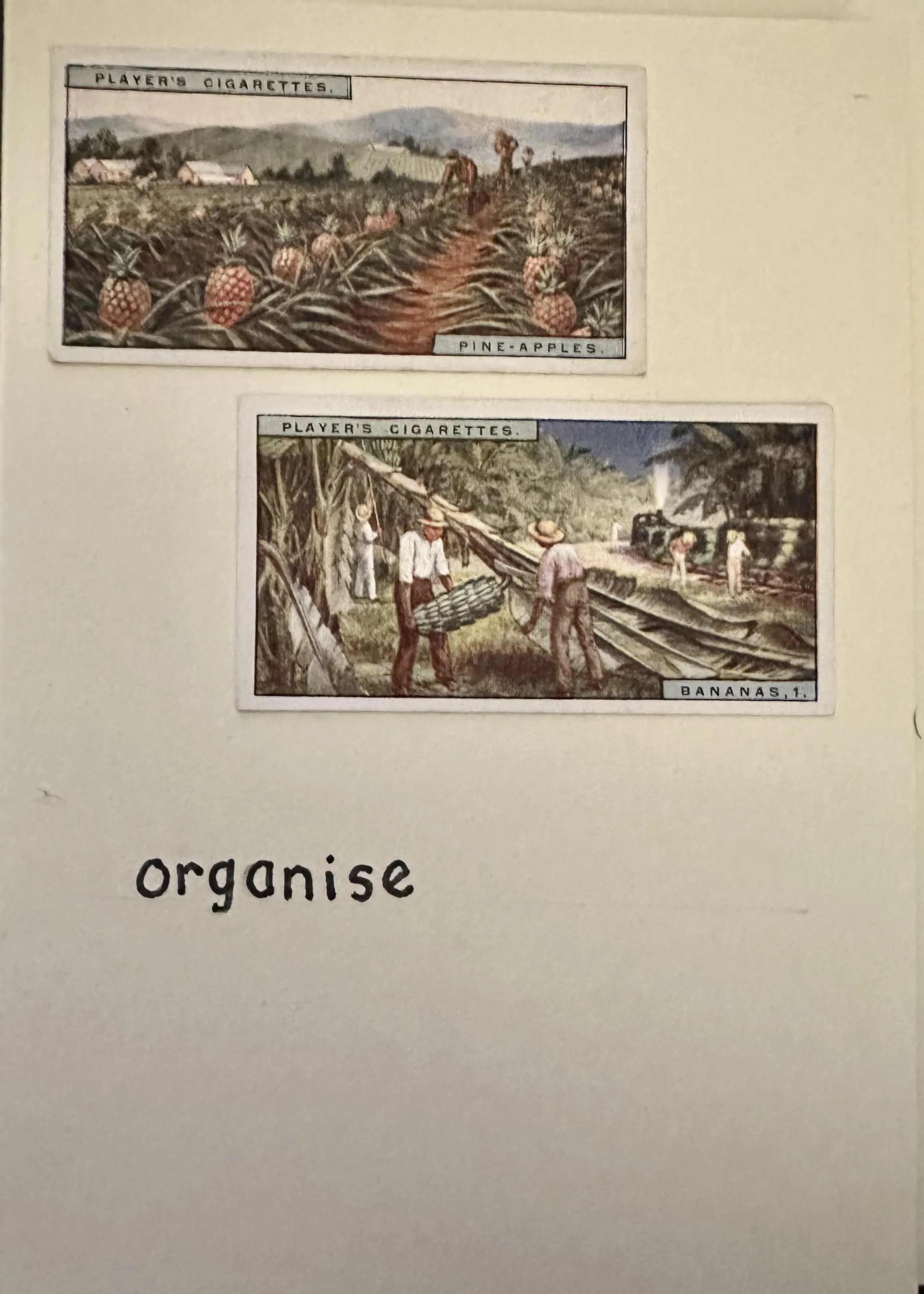 IMG_6161.jpeg