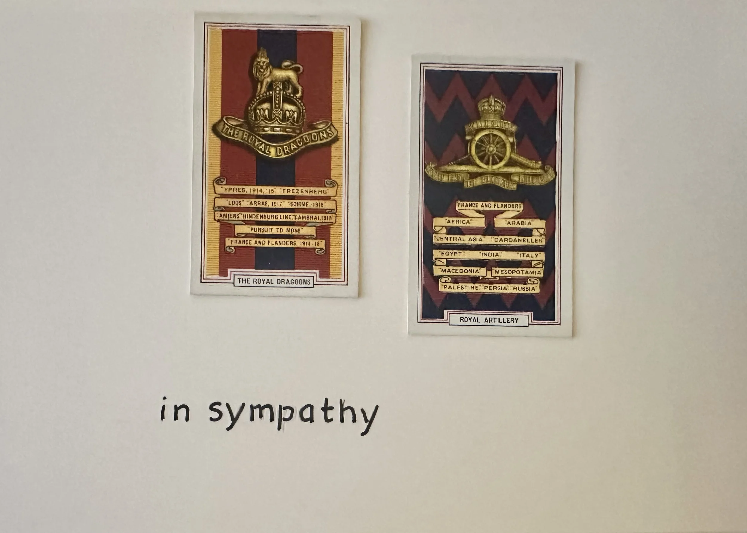 IMG_8342.jpeg