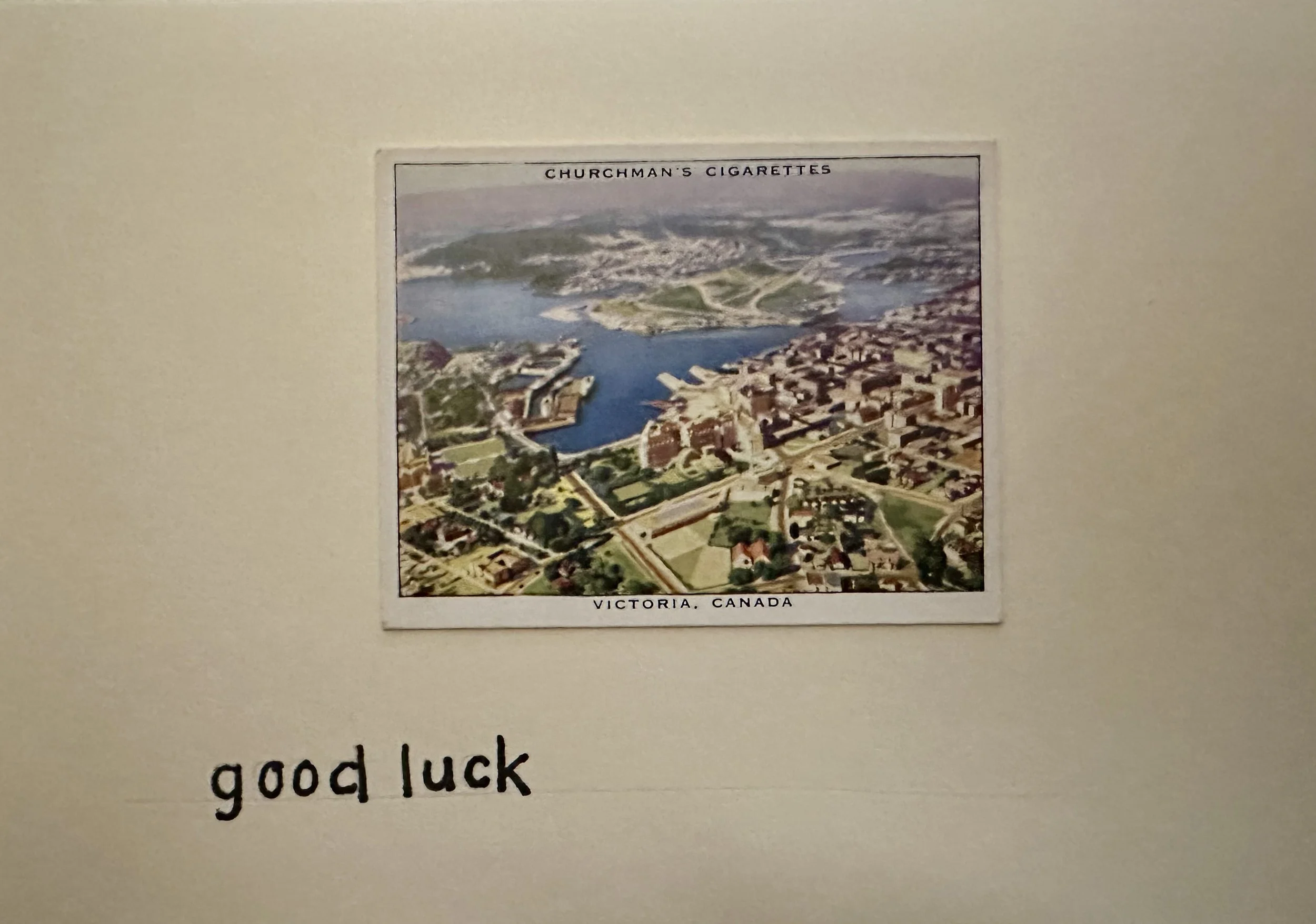 IMG_2179.jpeg