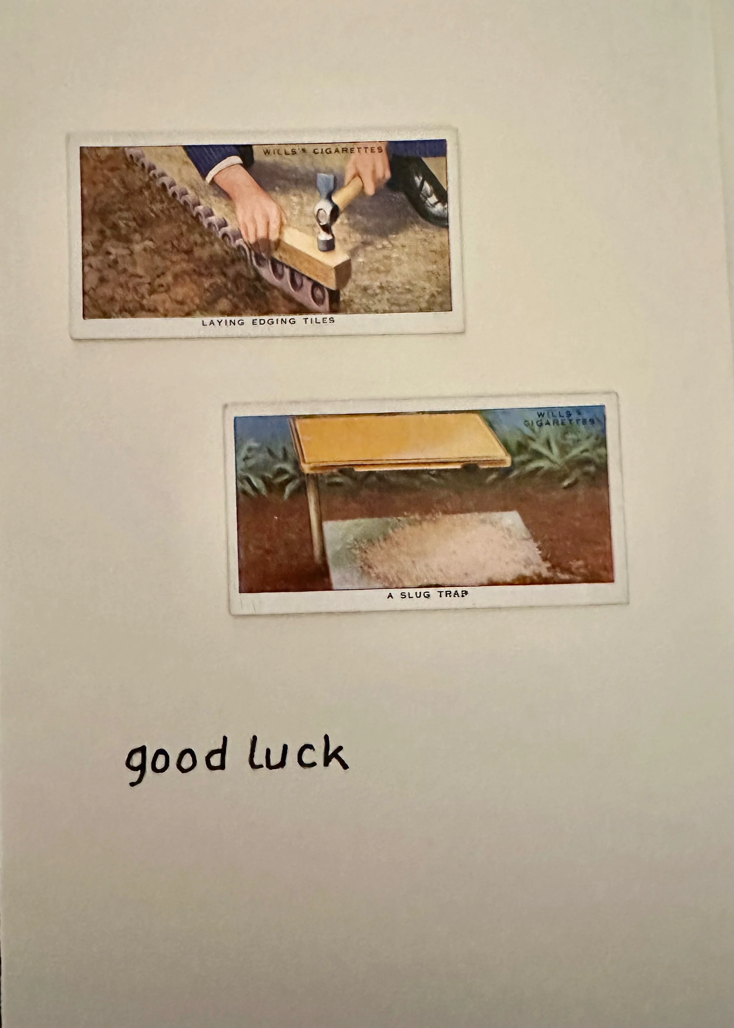 IMG_6248.jpeg