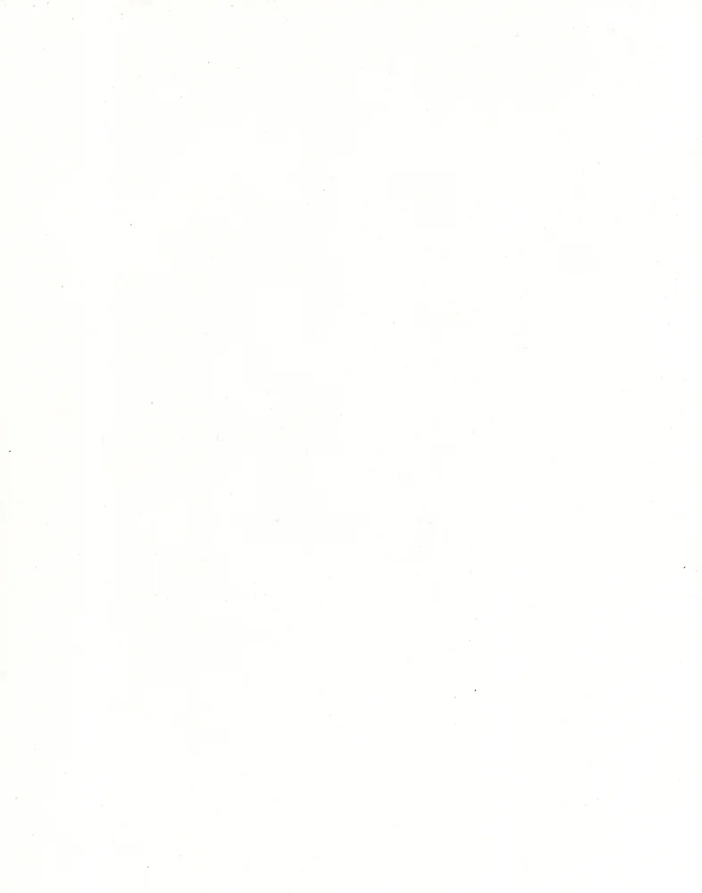 57_web.jpg