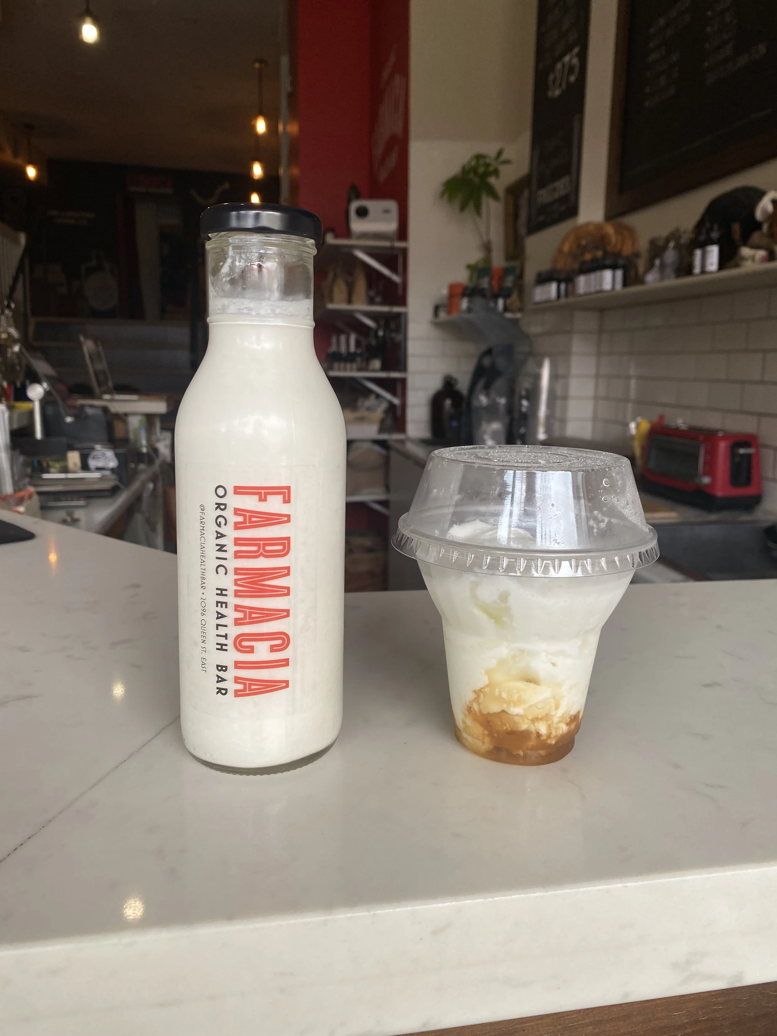 Fermenting Dairy Workshop