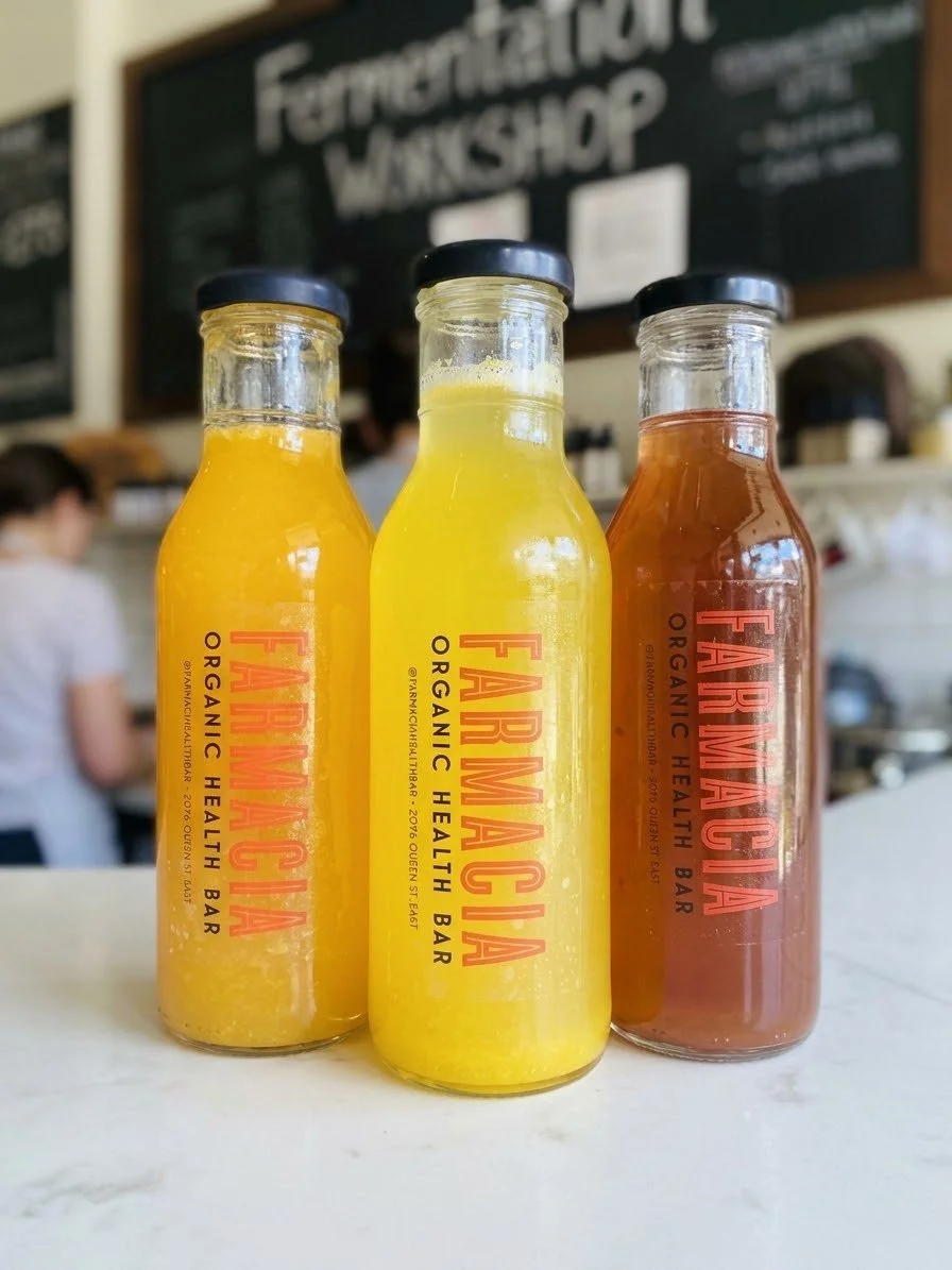 Fermented Drinks Workshop