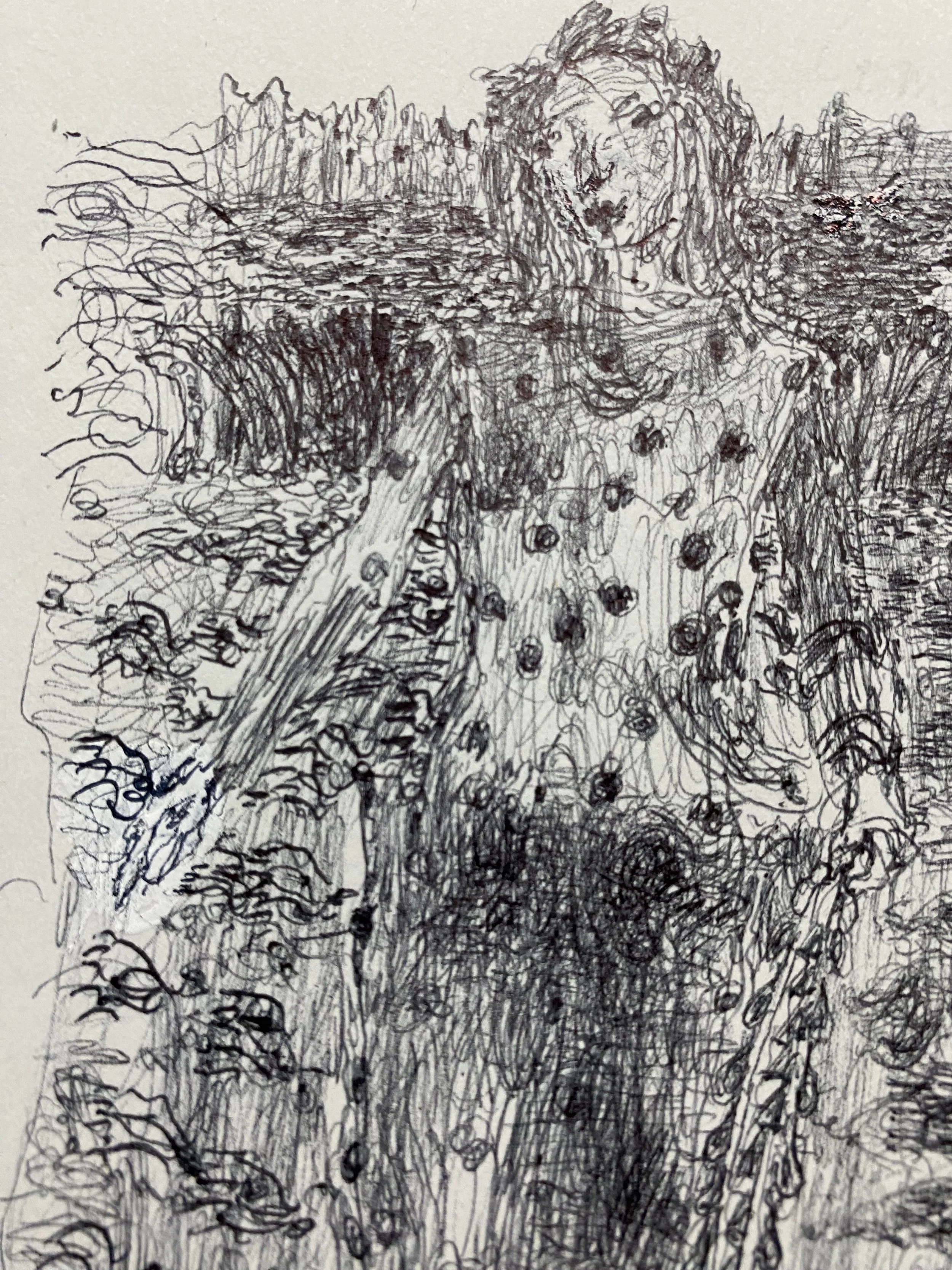 figure: for Jetty and wetlands