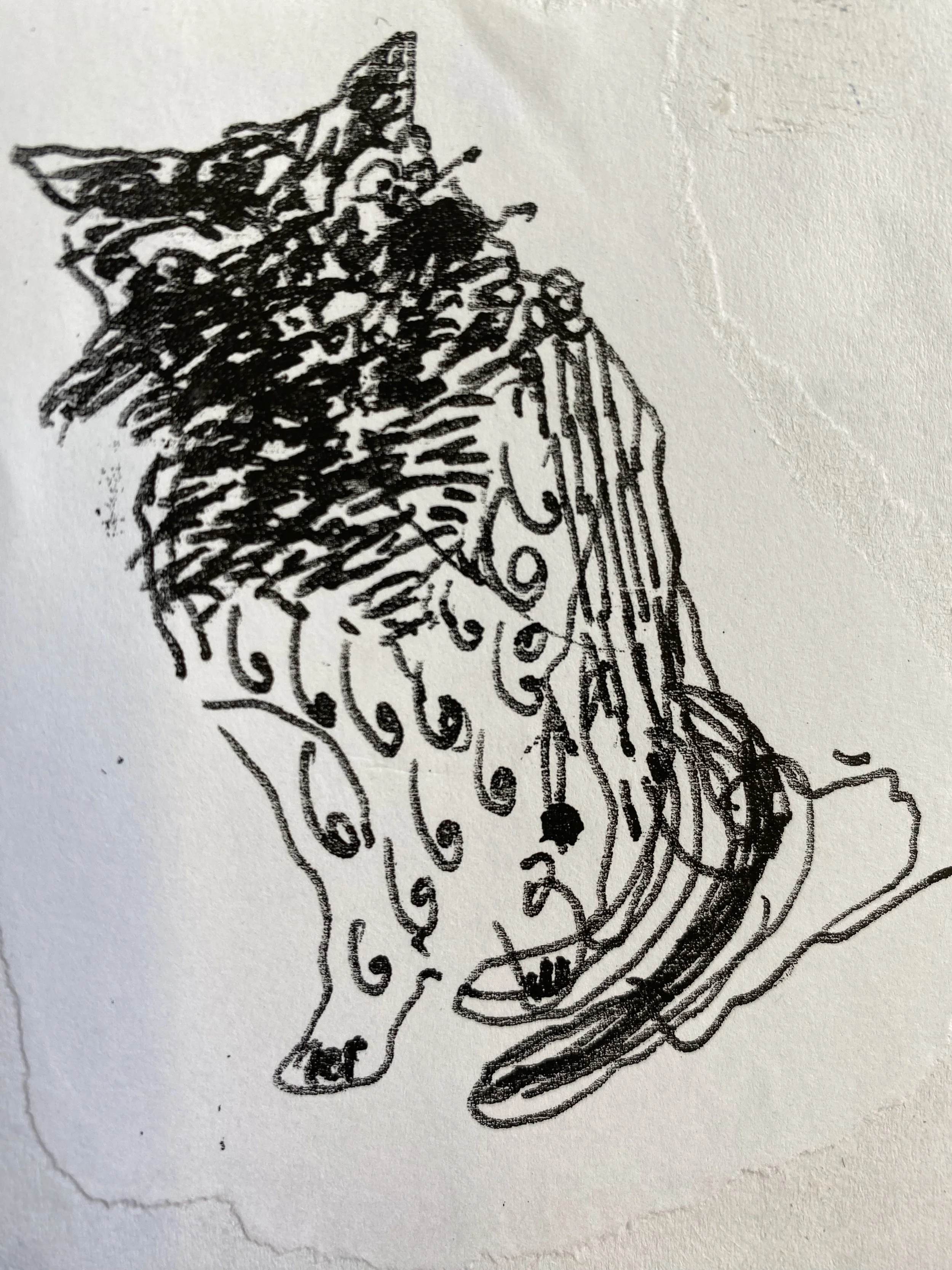 black cat