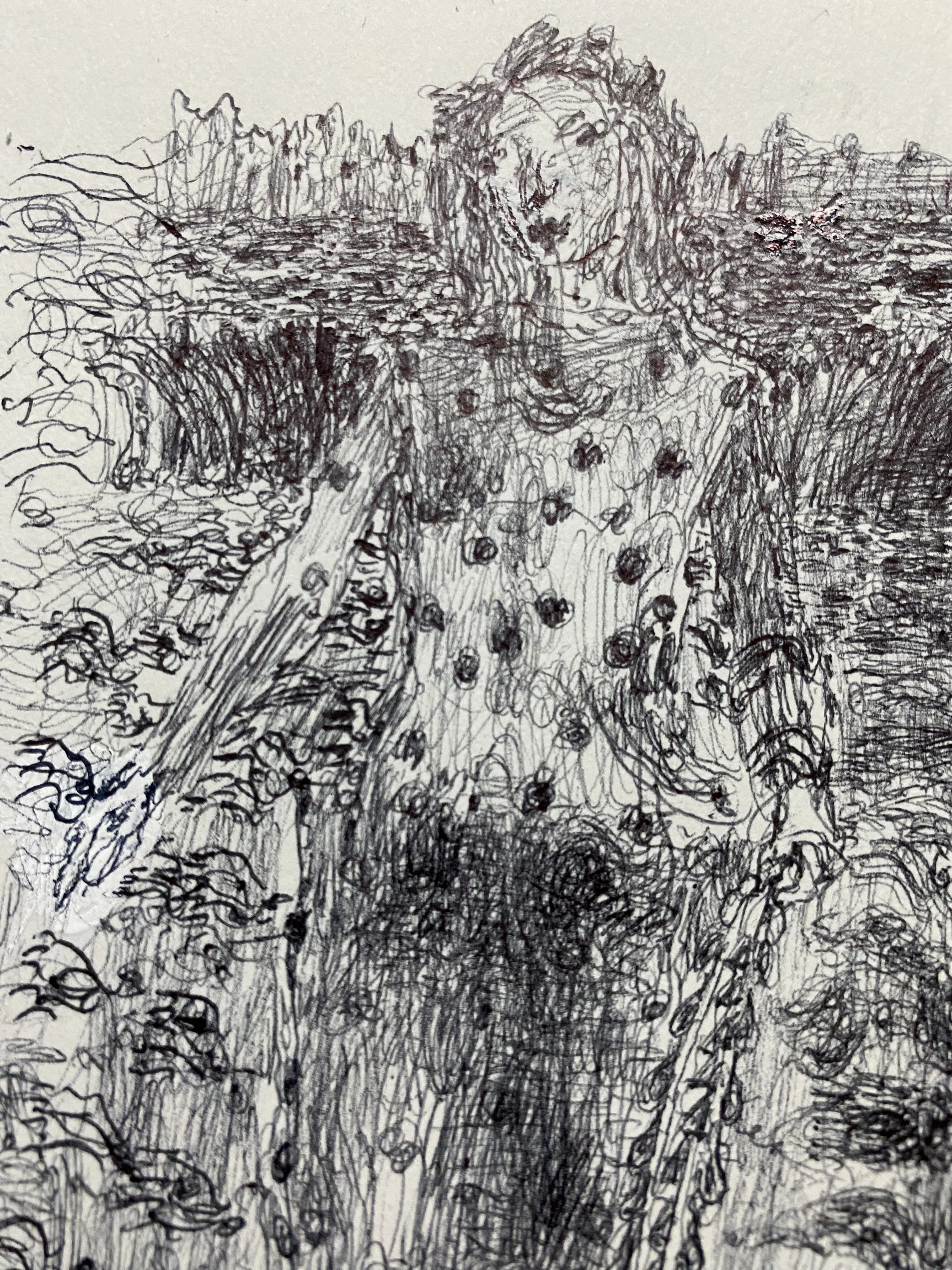 Costumed design for Jetty and Wetlands