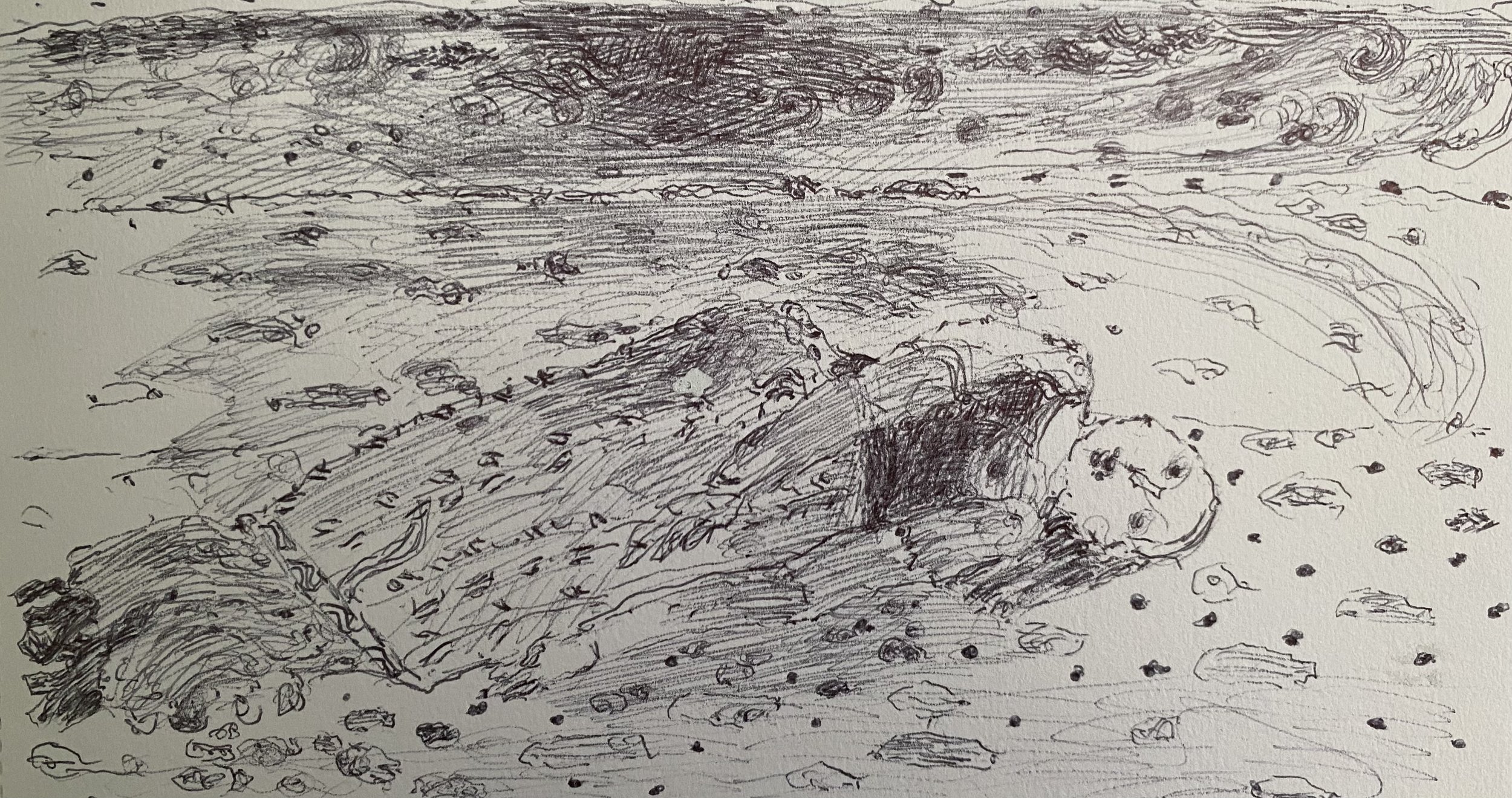 ..found among the seaweed and stones..