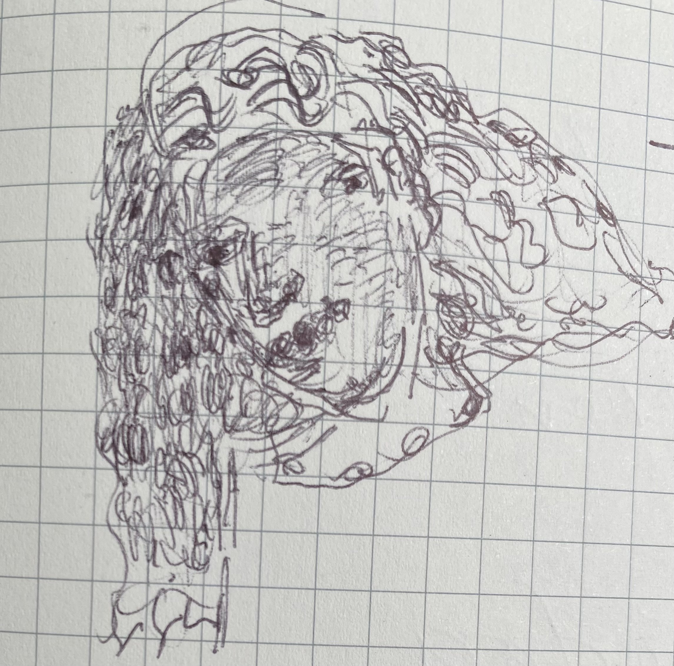 youthful girl.head and hair