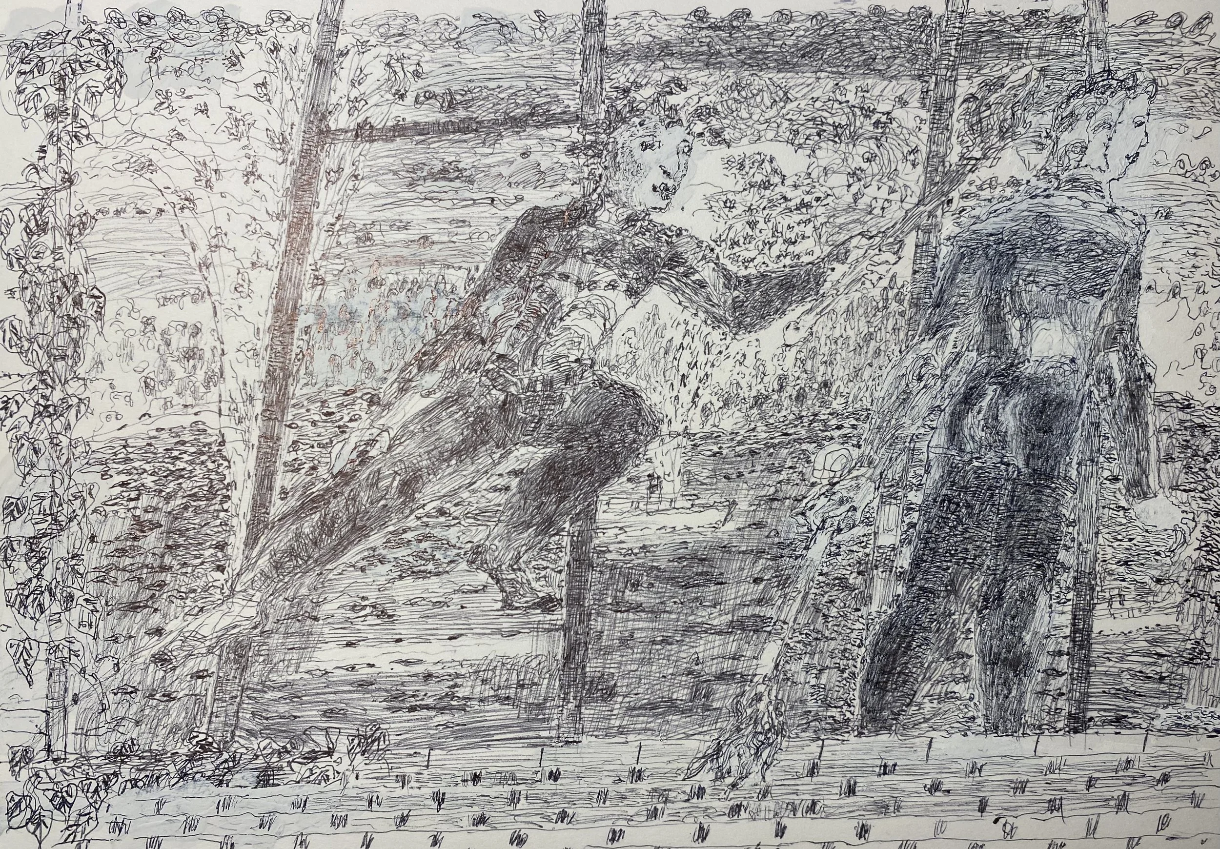 Over the Wall another World