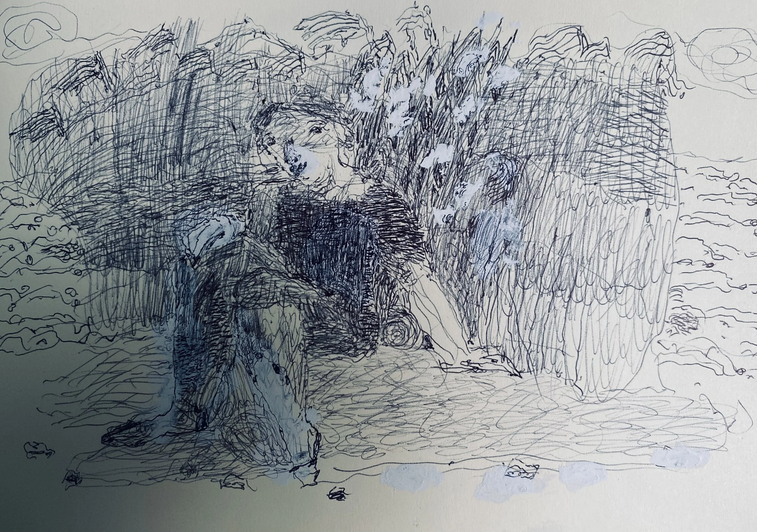 ..young lad in the beach reeds and stones